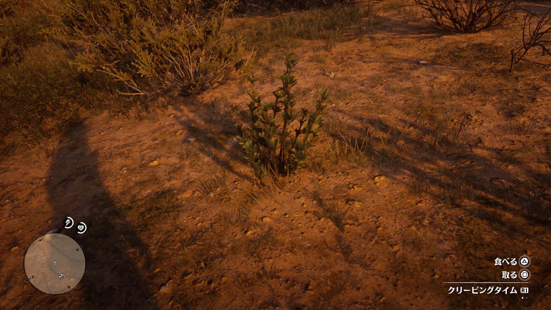 Creeping Thyme RED DEAD REDEMPTION 2 情報&攻略 wiki RDR2 atwiki（アットウィキ）